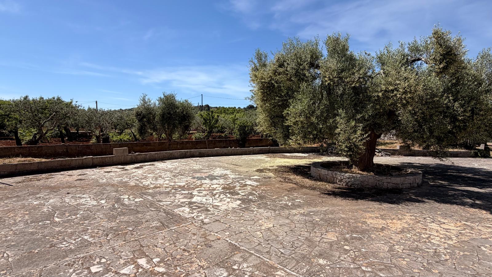 Piccola Villetta In Zona Abitata, 2 Vani e Acc, Trullo, Deposito.